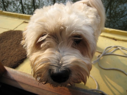 Tilly